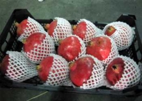 فوم انار و خربزه ، فوم بسته بندی میوه 09199762163